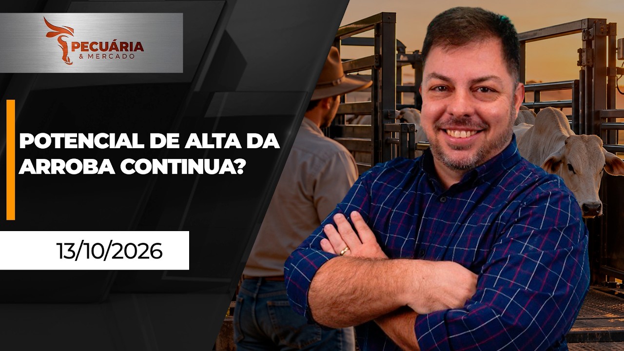 PECUÁRIA & MERCADO - EDIÇÃO 13-10-2026