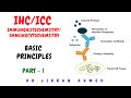 Comprehensive Overview of the Immunohistochemistry (IHC) Process