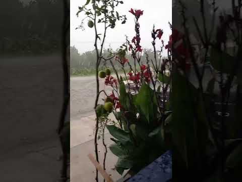 esta si es lluvia san jose de cañas durango la colonia jaja