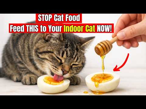 13 Human Foods Your Indoor Cat ACTUALLY Needs More Than Cat Food (Healthier & Cheaper)