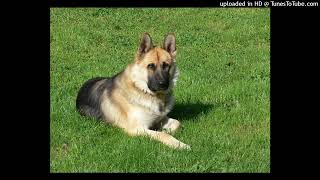 Lucian Green - Descant