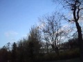 Madárka repülése