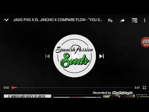 JAFO PVG X EL JINCHO X COMPARE FLOW | Video Reaccion | AdriMusic_YT