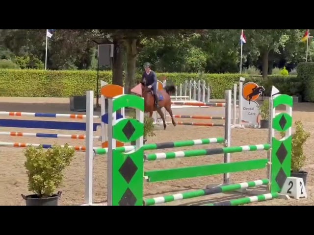 Mother Berly Key SR Z in a 4 years old jumping Class.