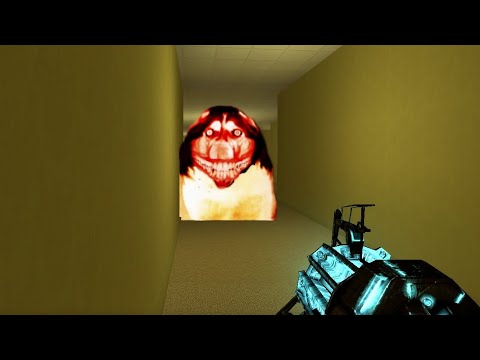 smile dog chasing me in garry's mod