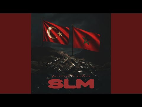 SLM