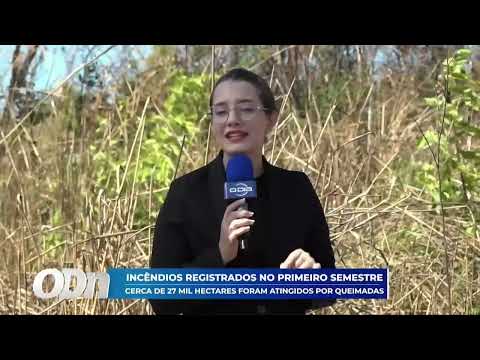 O Dia TV