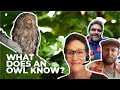 The Enigmatic World of Owls: A Conversation with New York Times Bestselling Author Jennifer Ackerman
