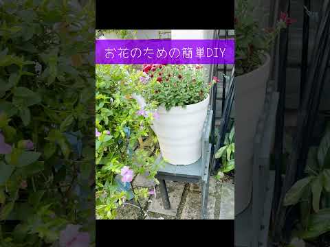 家の前の花壇: あなたの敷地の前に花を咲かせるための私たちのアイデアのすべて  庭園