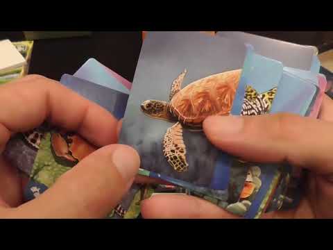 Review of all three games (Original, Savanna, Coral Reef)