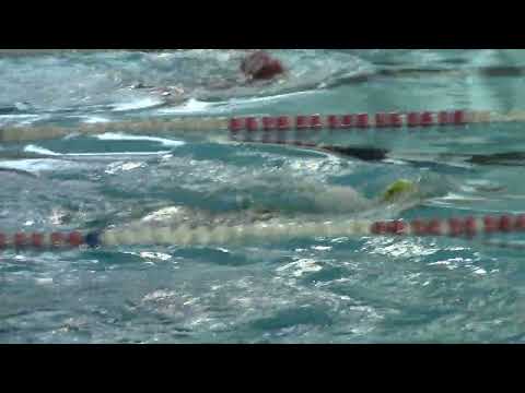 Chinni Isabel (4) 50RA - Siena 26.02.23