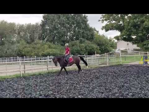 Rose ☆ (BON ROYAL x MANO) - Video 2 video thumbnail