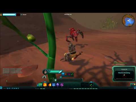 Wildstar - The Master Race