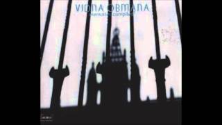 Vidna Obmana - Lost In The Swirling Distance