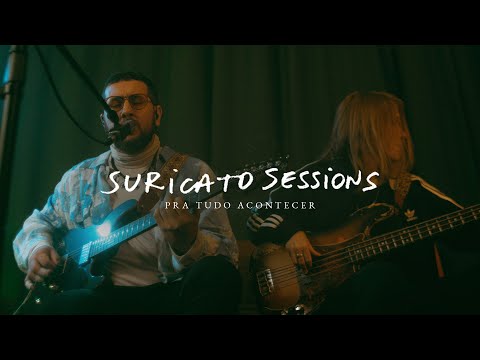 Pra Tudo Acontecer - Suricato