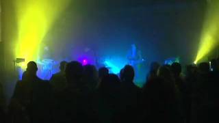 Johnny Bull (with bullshitting)