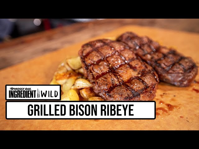 pitmaster malcom reed