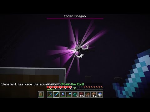 Jetzt schon die erste ELYTRA!!!???