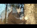 Prayer for the trees