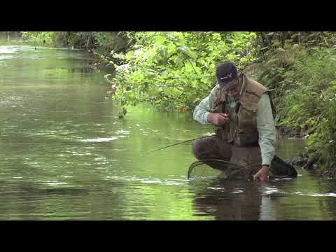 Living the Dream - Fishing the Chalkstream