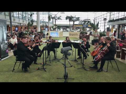 Queensland Symphony Orchestra: Artist-in-Residence at Brisbane Airport