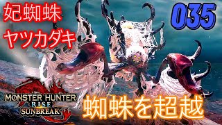 【MHRSB 実況プレイ】蜘蛛でかすぎ、初ヤツカダキ！ PS5