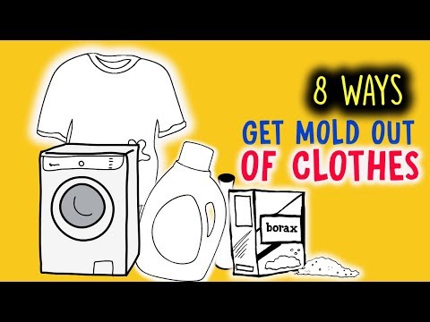 download lagu mp3 mp4 Can Dry Cleaners Get Mold Out Of Clothes, download lagu Can Dry Cleaners Get Mold Out Of Clothes gratis, unduh video klip Can Dry Cleaners Get Mold Out Of Clothes