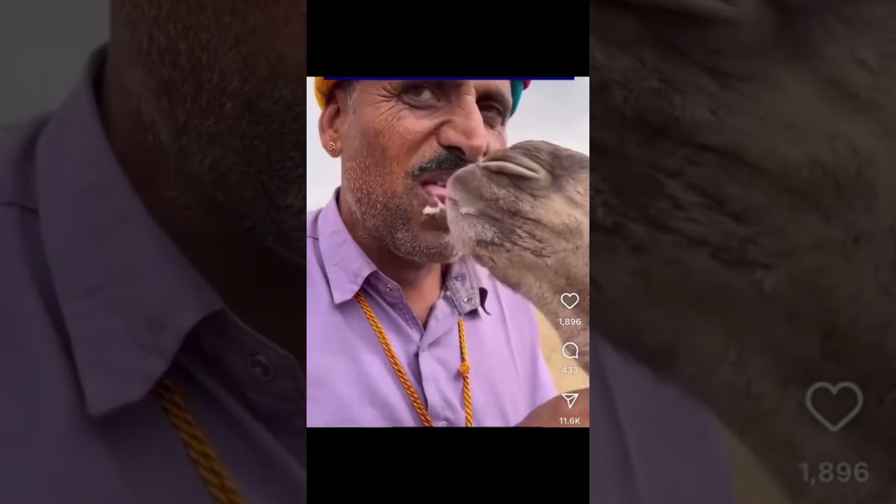 Global Driving Opportunities Open Now Hiring Drivers Worldwide #NowHiring #DrivingJobs