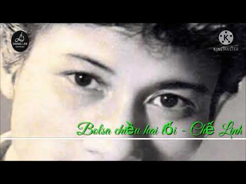 Bolsa chiều hai lối (Bosla chiều 2 lối) - Chế Linh