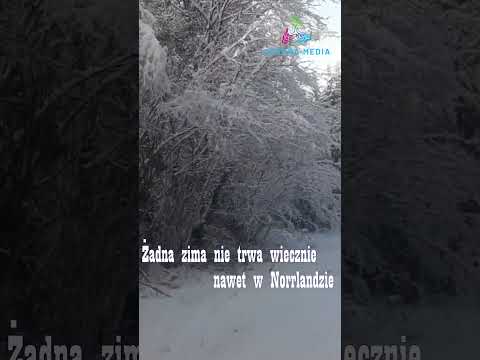 Szwedzka mądrość, która daje nadzieję