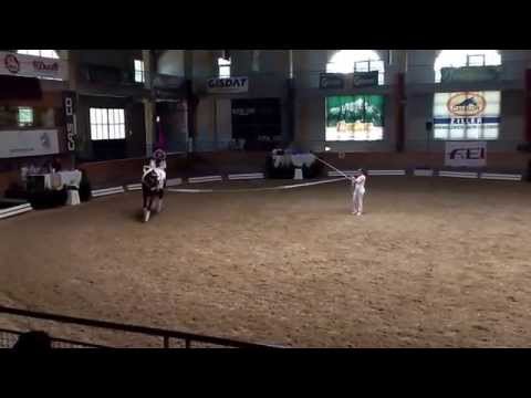 CVIO Stadl Paura 2014 - Daniela Fritz - Freestyle