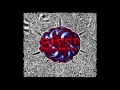 Sleep Holy Mountain Full Album 1992