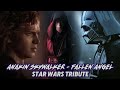 Star Wars Anakin Skywalker Tribute Fallen Angel Three Days Grace