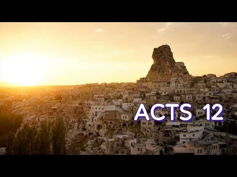 ACTS 12 NIV AUDIO BIBLE