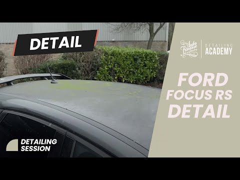 Ford Focus RS Detail - resurrected from the green mouldy mess