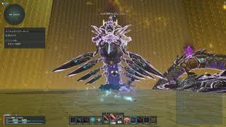 【PSO2 NGS】リテムでバスターズ Rank.1～後編～【実況】