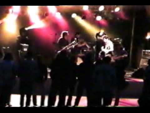 Voice of Art 2008 Rückblick