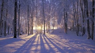 Jo Stafford ~ I&#39;ve Got My Love to Keep Me Warm