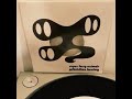 Super Furry Animals – Ysbeidiau Heulog