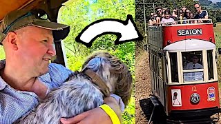Riding the Seaton Tramway! Family Trip with Our Dog