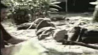 Jack Johnson - Wasting Time