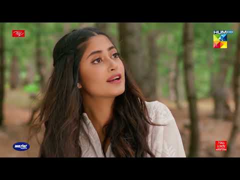 Azlan Ki Mohabbat Aur Shanaya Ke Usool - Ishq E Laa