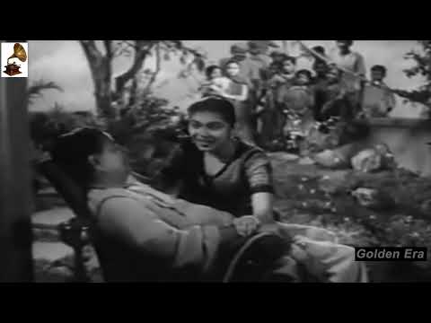 अलबेला मस्ताना एक हंसों का जोड़ा — वीडियो थंबनेल