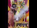 Sri Mahishasura Mardhini Mahishasuramardini Mata Alankar Mata