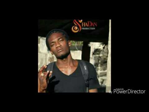 FrassDan-bleaching panda (IVM records)