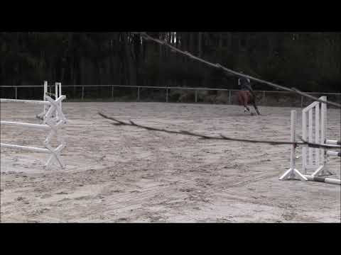 Balou Peggio - April 2020