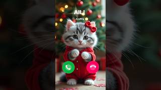 Aili Cat Calling 💋 #ringtone #cat #youtubeshorts #gato #catlover #mi #sound #ringtones #shorts