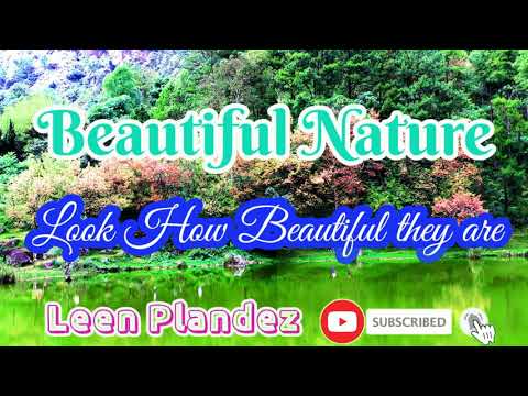 BEAUTY OF NATURE | THE BEAUTY OF NATURES♥️🌳🌳😇