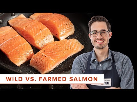 天然サーモンと養殖サーモンの調理の科学的な違い