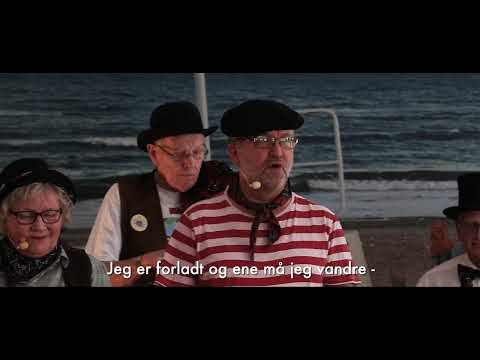 Gårdsangerne fra Thy - Du lille svale